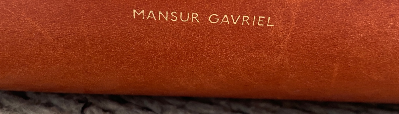 Mansur Gavriel Small + Large Tote Review – 2cm